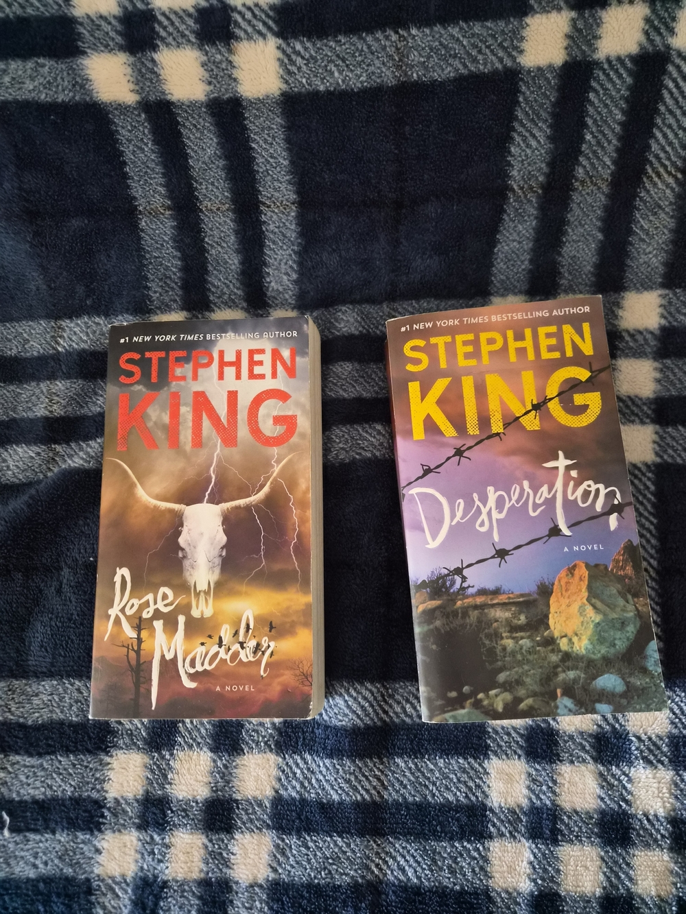 Stephen King Paperback Novel - Rose Madder / Desperation (Set of 2) -